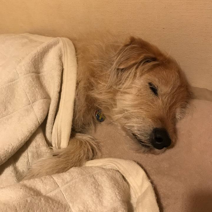 E869db28 44ac 4d5a bc4d 21ea7c972f52 1614638257458