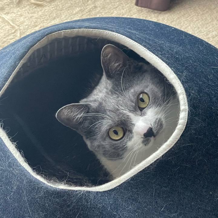 E86a058a 1922 4df4 8644 0e7dfe5917cb 1748582538126