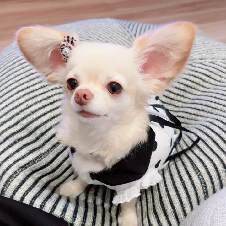 E86a06cb e16f 4745 ab88 60e68a0975fc 1689680250994