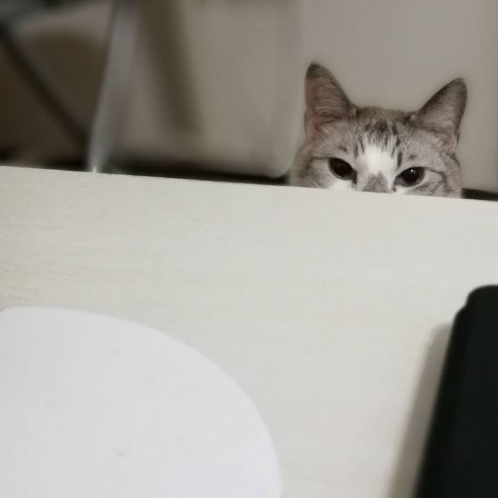 E86a1239 9e78 405a 9815 68a4df9916a5 1519607679444