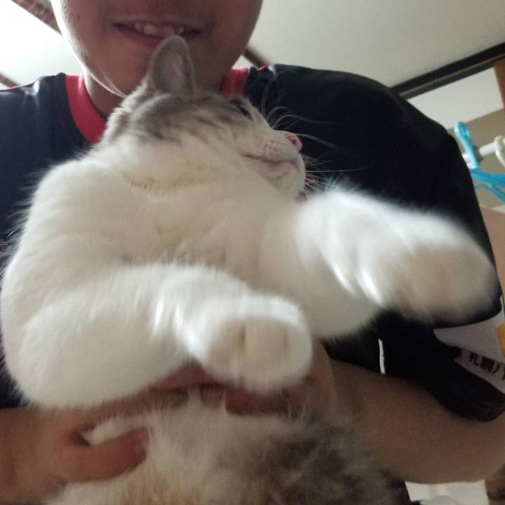 E86a14aa c9d4 4dbf b341 4304e9f9d170 1601304127729