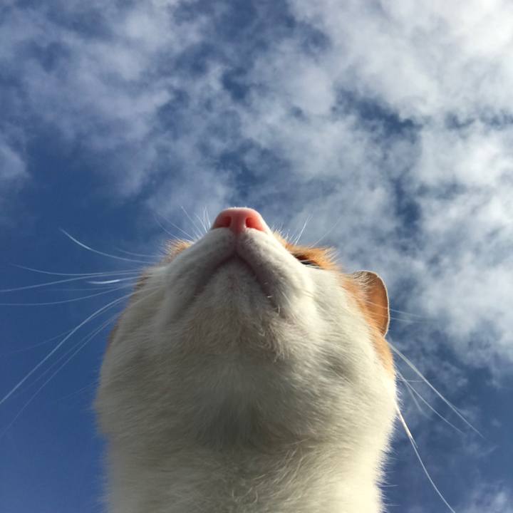 E86a1baf e9f0 4922 a2f3 b243656244f4 1519354625793