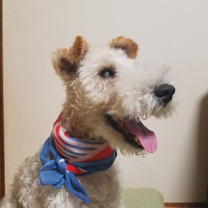 E86a9fea 1108 4ff0 bbb6 edf04ca37207 1595335414748