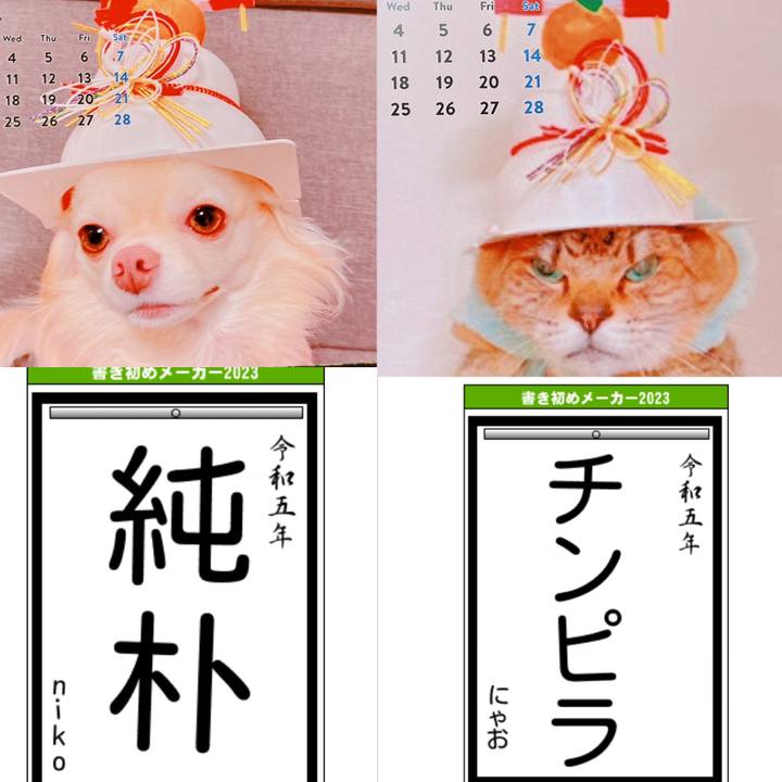 E86aa393 fbc2 4fe5 8b54 fa09cdee8af6 1672815657770