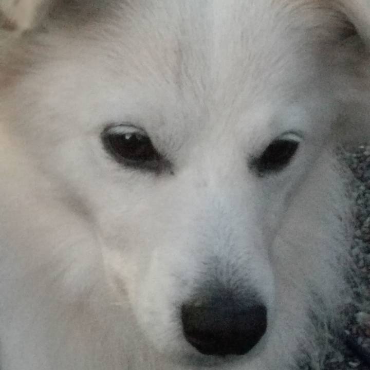 E86ad069 52d2 4101 86b6 06ce05f8337f 1511255368617