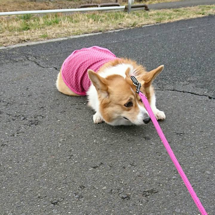 E86ae403 6aa3 40e7 99a0 1fd95068fb06 1551932029107