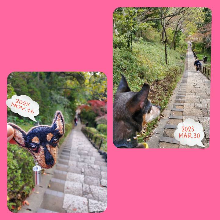 E86af4a4 21ba 4dd9 a401 0898b26af6cd 1763885614941