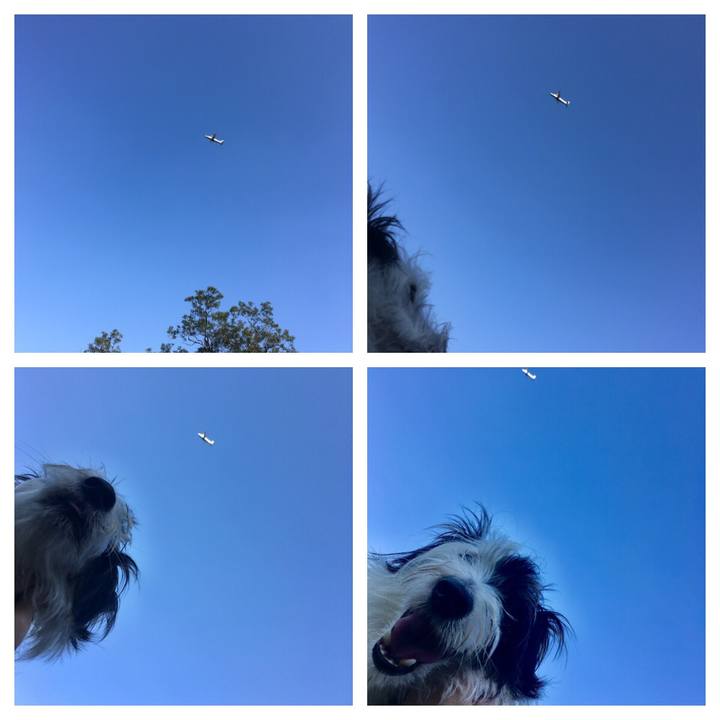 E86afff4 c949 4774 9335 dbd5e190831b 1509862774341