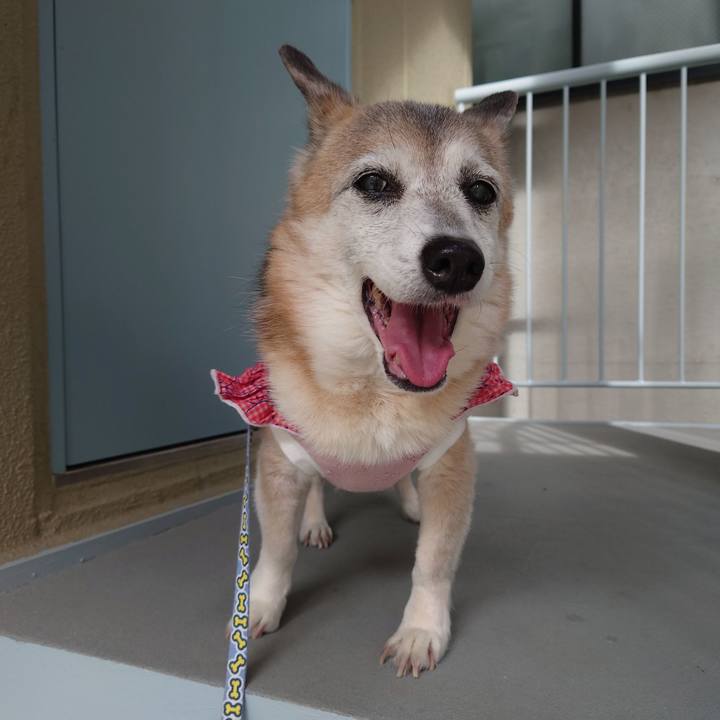 E86b338e b5f2 4806 8a61 ed477a58cfa8 1743087347134