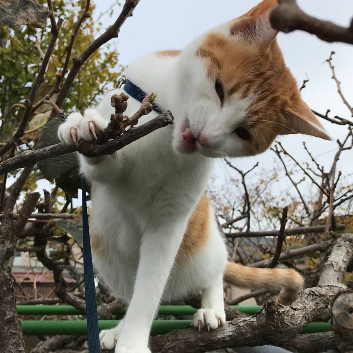 E86b43f3 68a8 497d b1f7 dc937e1ef1a4 1509768998777