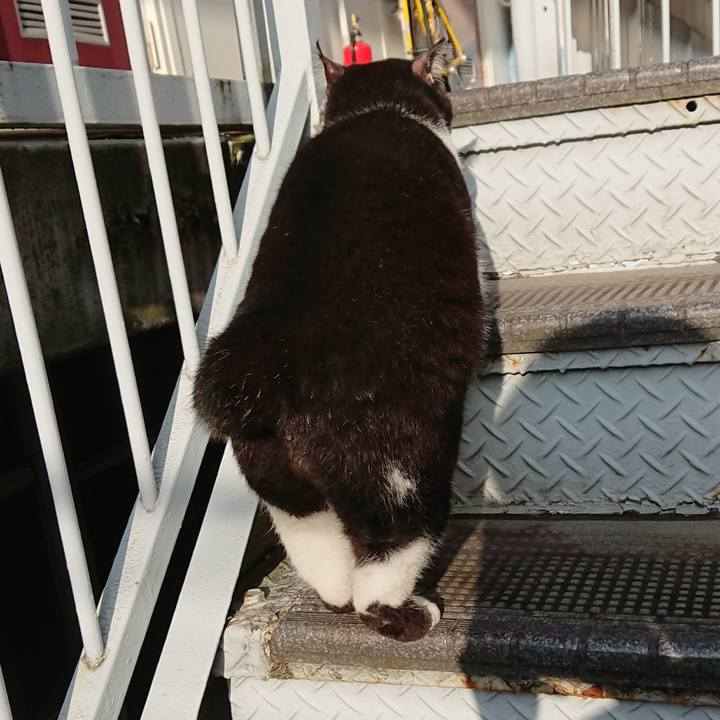 E86b4ce9 82ce 4b25 b3a3 86a634026e2c 1629756503187