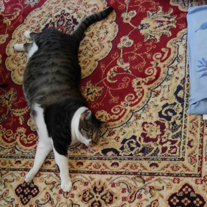 E86b691d 6b69 4ad5 bc42 d180cb9a345f 1516443103980