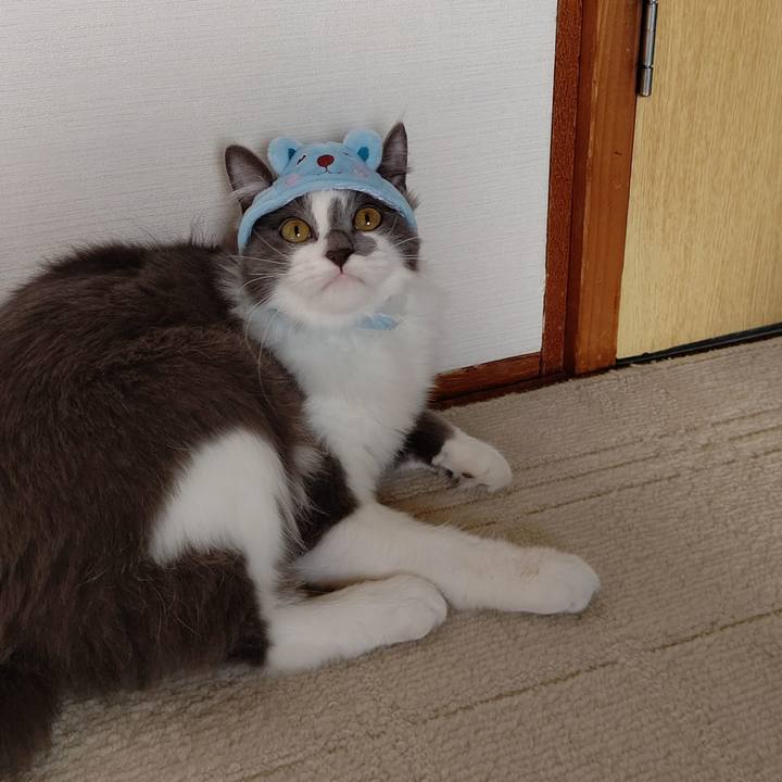 E86b726f 4f8c 45c3 80e8 66cfea556b50 1577940606816