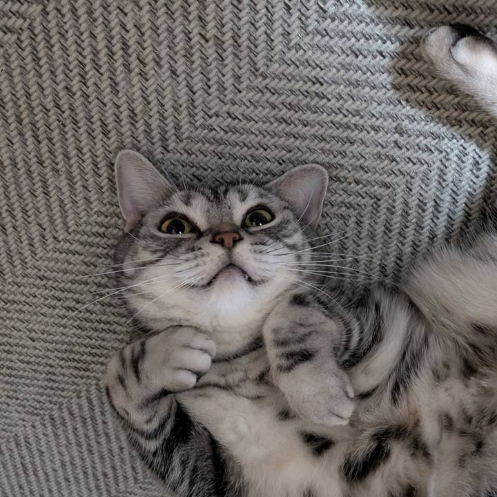 E86b7eca 2f8c 4aaa 992a cdefdc64427e 1737976423344