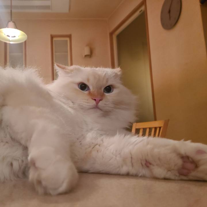 E86baadc 6b0d 4564 99e9 1de7a571e4ae 1675674351382