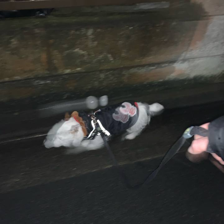 E86bb77c 0b7a 4fd1 9a58 117a23de25c1 1676293494086