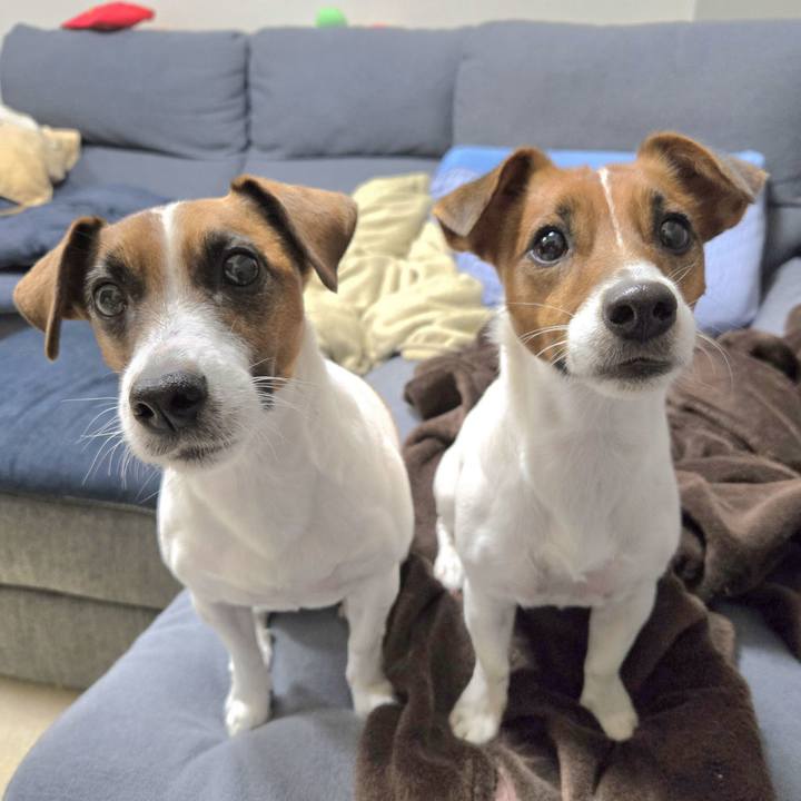 E86bc202 d0f3 49f9 94ea f3cb3c08cb17 1764900526232