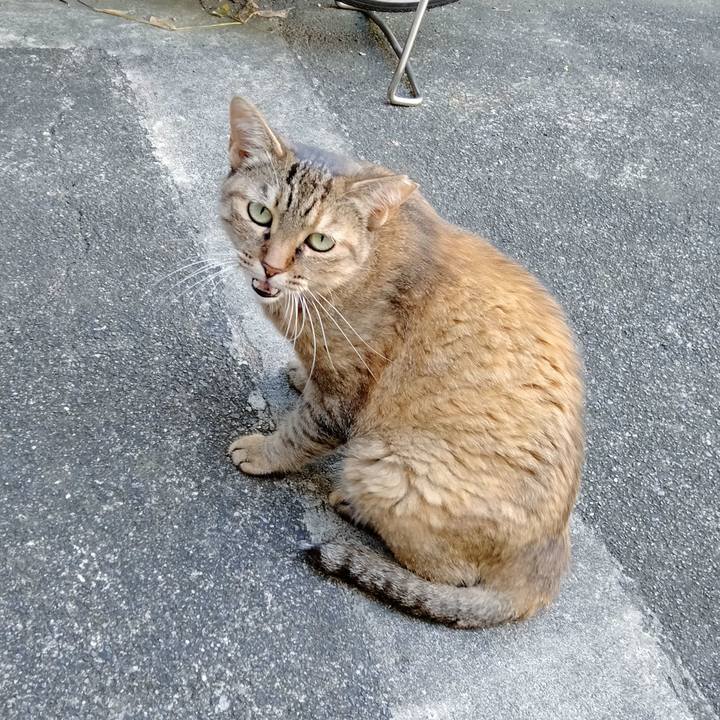 E86bd776 b0d8 4974 a3a1 82f277ac5602 1659160850004