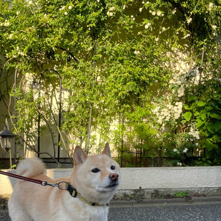 E86c091b bfd1 4230 8156 66750766950c 1681860015068