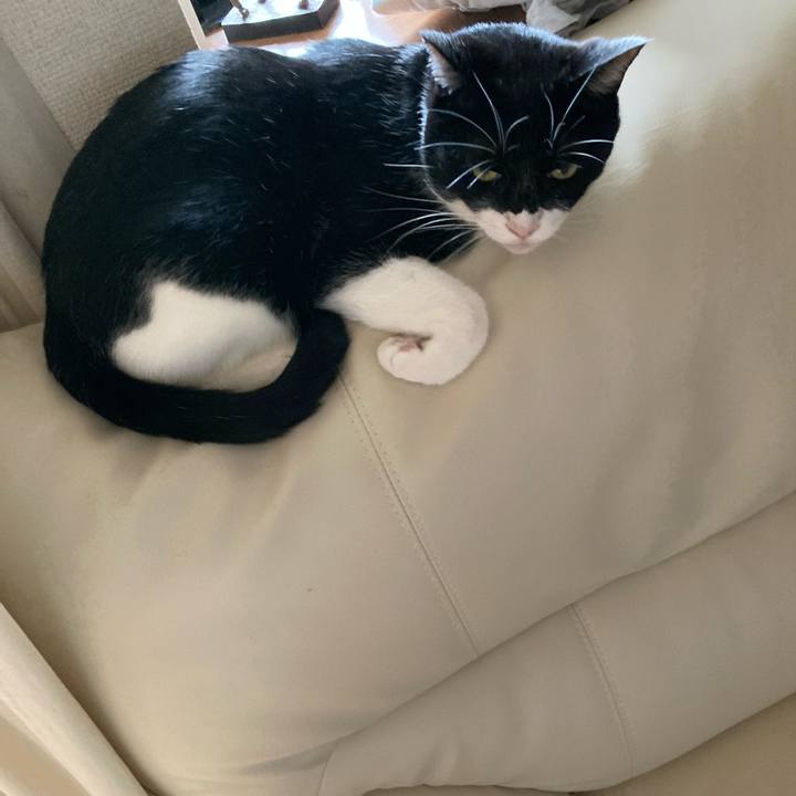 E86c1184 681f 4cff 9d53 a7afa816f411 1664097795589