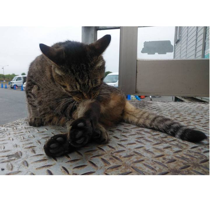 E86c27c0 7719 4683 a6b3 8e45e7fc6d75 1593130306960