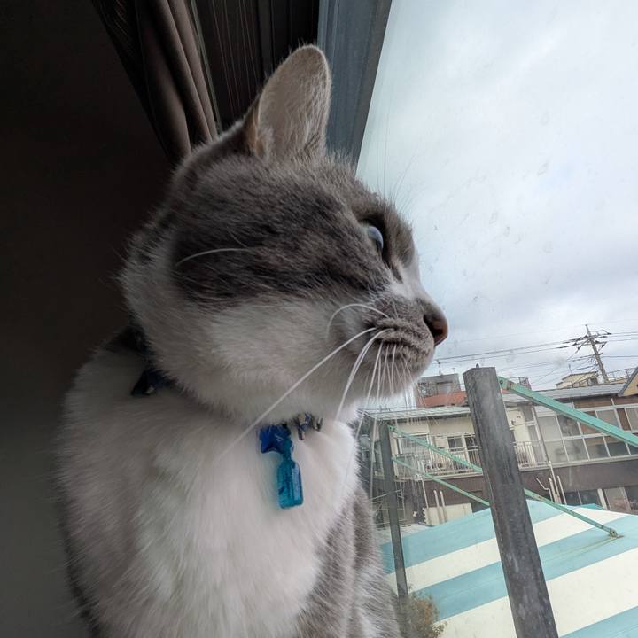 E86c344c d80b 4b04 bc98 a62da6900a54 1771898139153