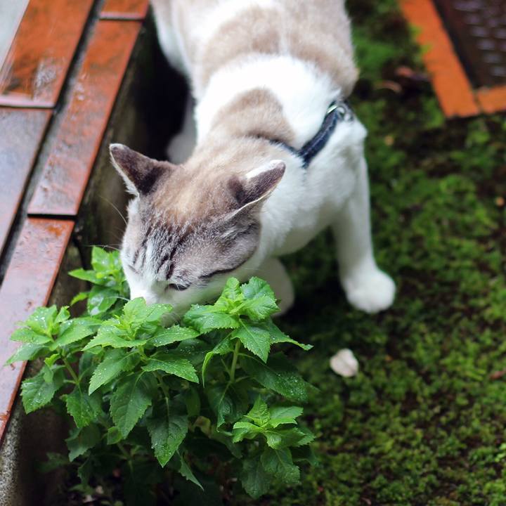 E86c56b8 43d1 4595 9e2b 75bb3ffa3218 1637883757513