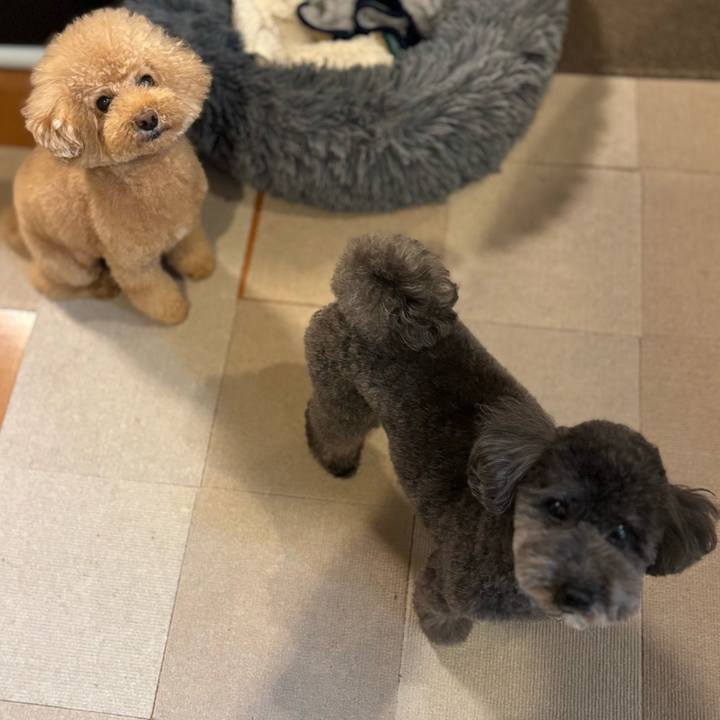 E86c5f29 8bd9 4124 ab24 270b41465ec5 1738416415894