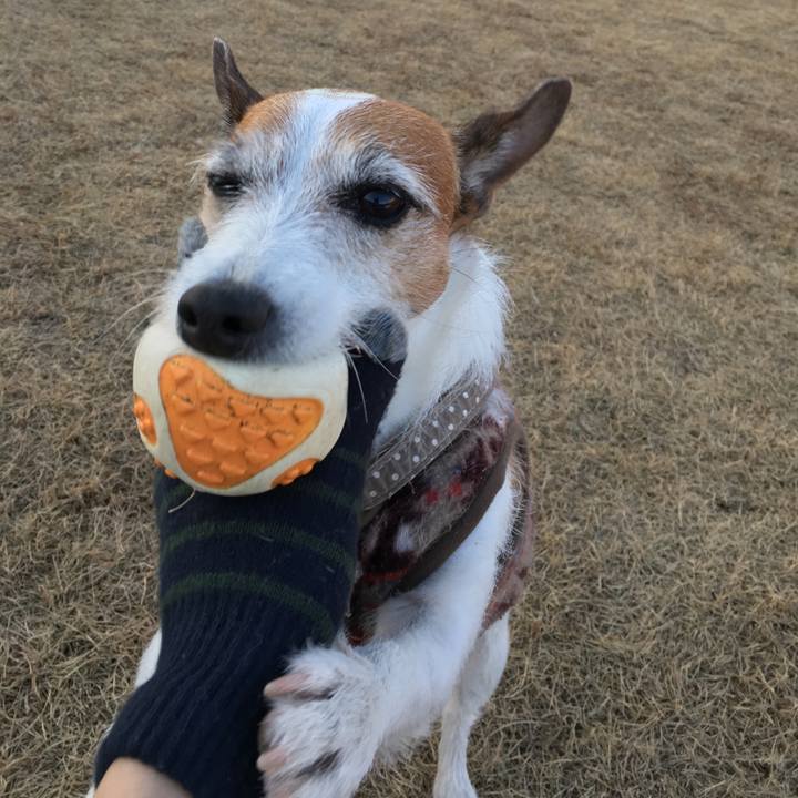 E86c6982 9bb4 42e0 b8d0 80618df21c71 1609637757065