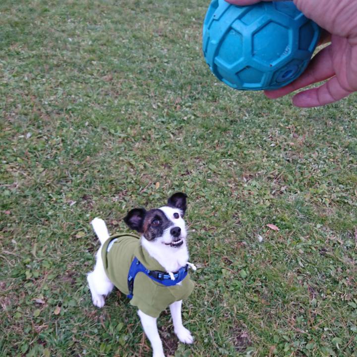 E86c8acf 0a71 4598 a779 bf54816942fd 1509867430558