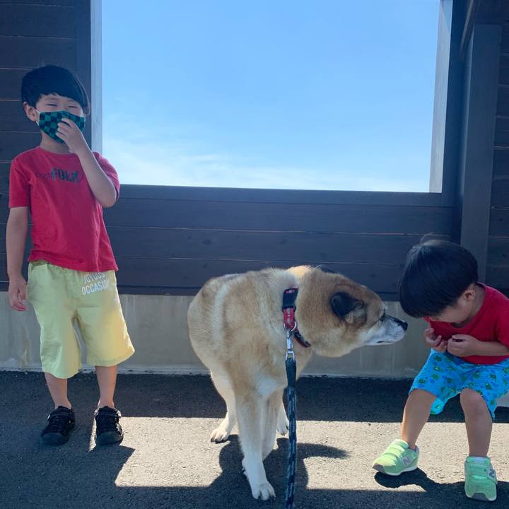 E86cc6a4 f51e 4829 8ffd 3406b6e2ca14 1626935262301