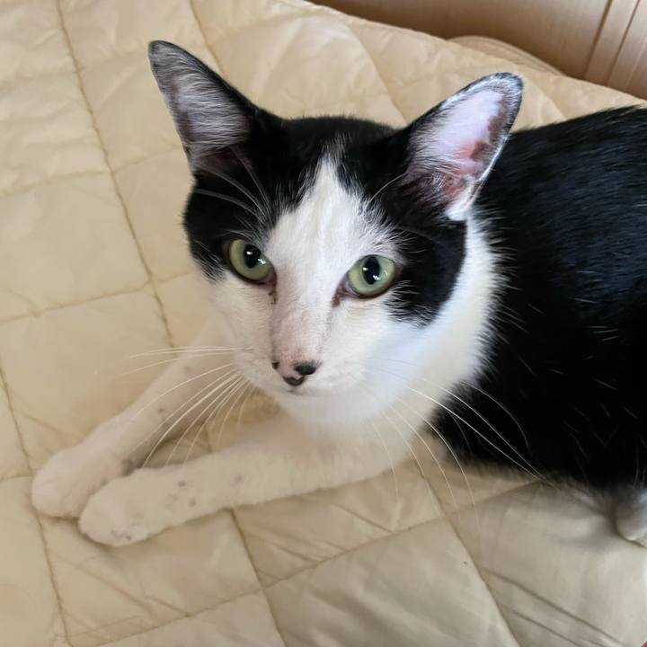 E86cd113 51ea 42e6 b063 c821ee9af712 1627867111107