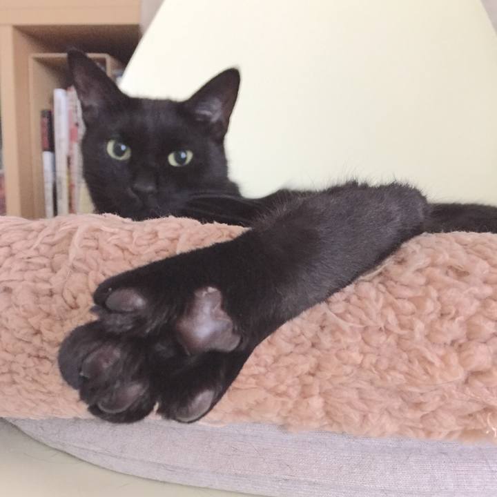 E86ce416 dd6a 4bc5 af2a 95a413cd2f7b 1511916723142