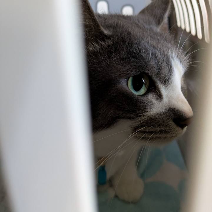 E86cf651 8462 4ae7 a2a9 465f9a21e2bc 1745886974686