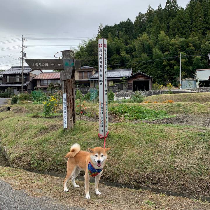 E86d0a36 6780 4a00 ac95 afeba65992cd 1571304028205