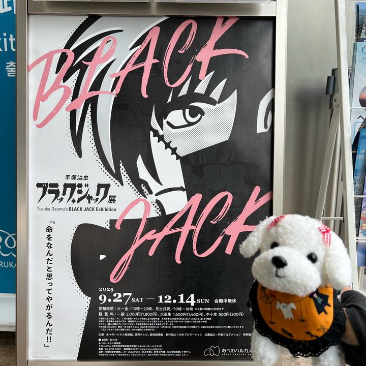 E86d5fe4 9864 4f32 bcc4 5bb9d99a30ea 1760749524383