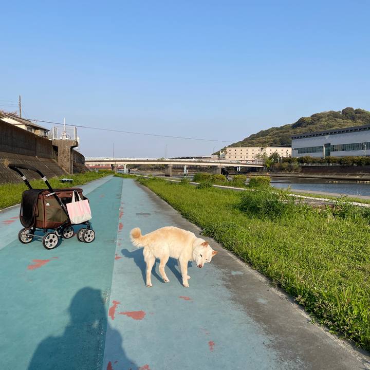 E86d66c7 6674 4871 b682 2338275f50f9 1649332276621