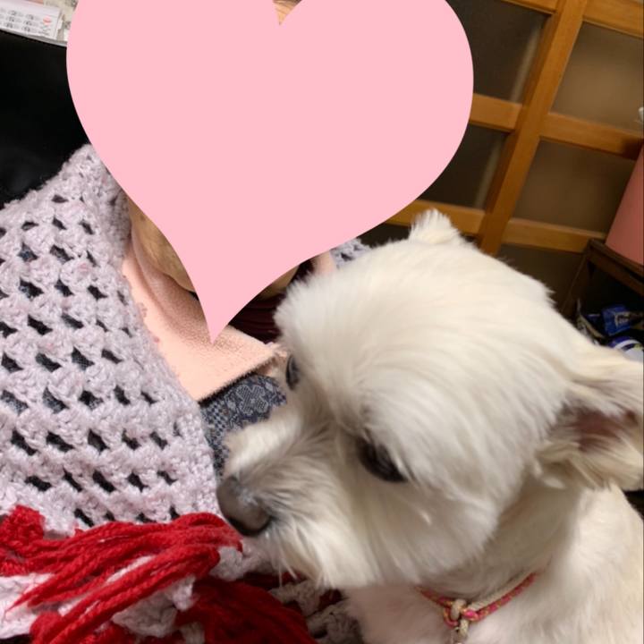 E86d9a11 b407 4c13 9ed8 29da13b20d84 1641881783839