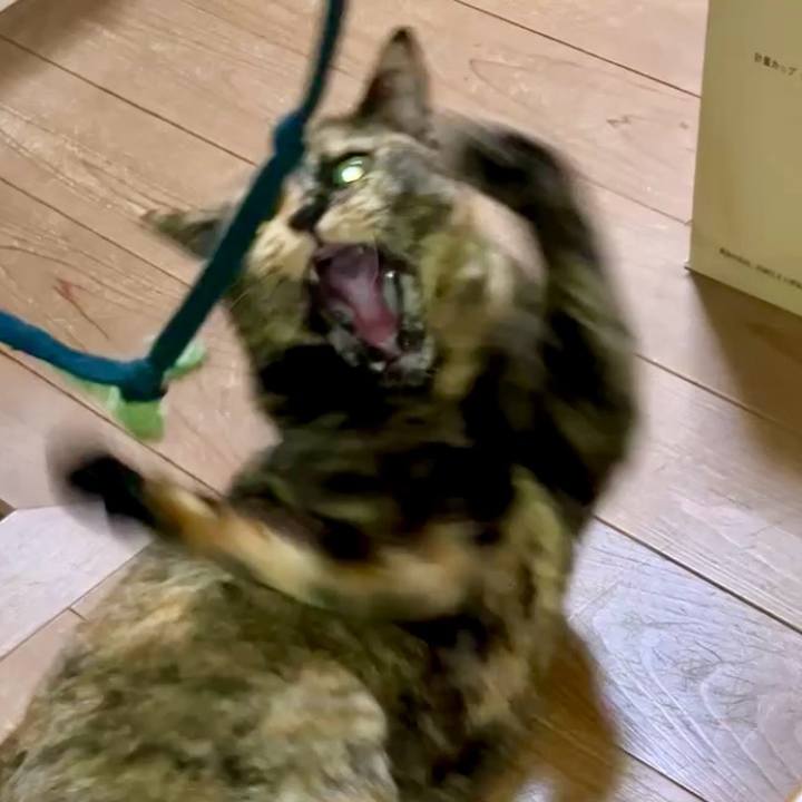 E86dc9bf d85a 4f7f b6d4 442126cc6029 1729196675157