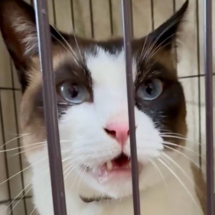 E86ded02 ed57 4654 91a7 294c62438070 1751708040994