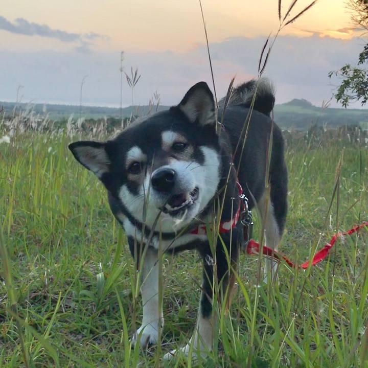 E86df956 8145 4483 9478 26e4f97731b3 1522662794441