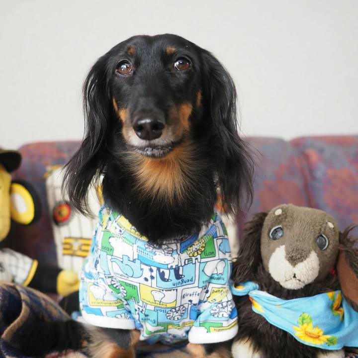 E86e1ad1 ad40 4240 8baf ce5b5a22db8a 1572912670527