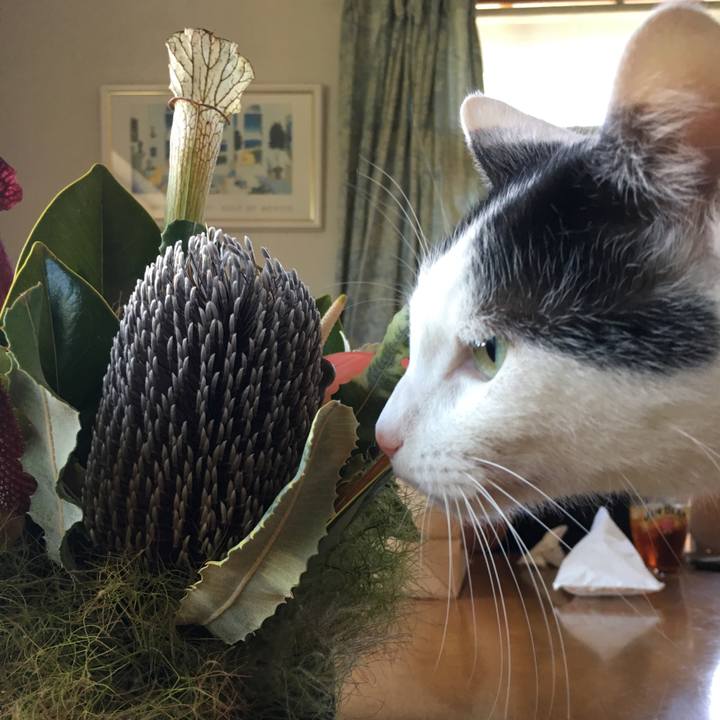 E86e49d9 8195 425e b235 8ac8d28b59d0 1528881419941