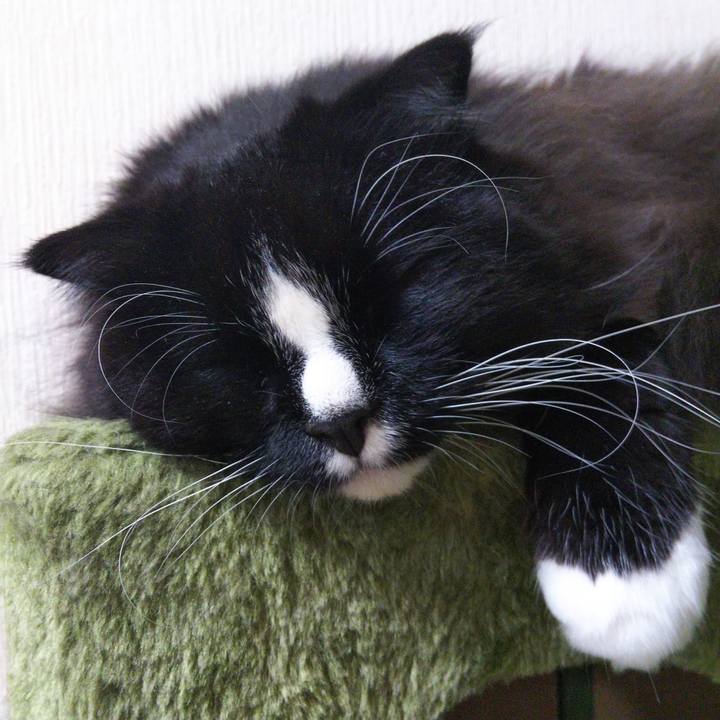 E86e9fe0 6b4a 4c6f ace0 ac20f01ddc3d 1663811229195