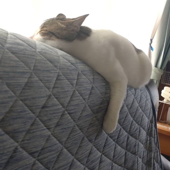 E86f3946 9e54 46ed 9e1d 5f93083a0d19 1694924933633