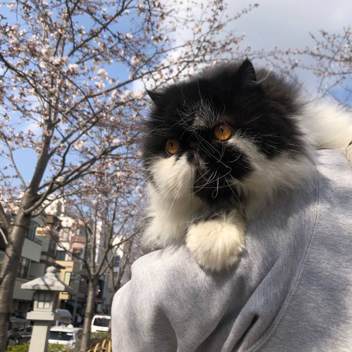 E86f5124 1aa5 4a94 af3f 36db2f1db6c6 1743338841004