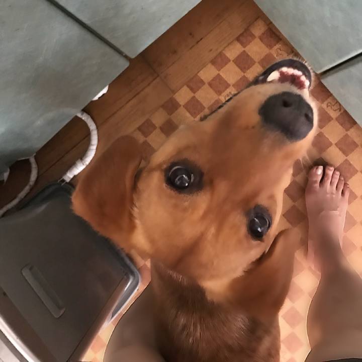 E86f6599 63c2 48dc a806 9d50748dc53c 1533515345563