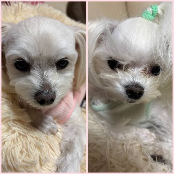 E86faae8 7618 42ae af29 ebce0eab9db0 1768553052683