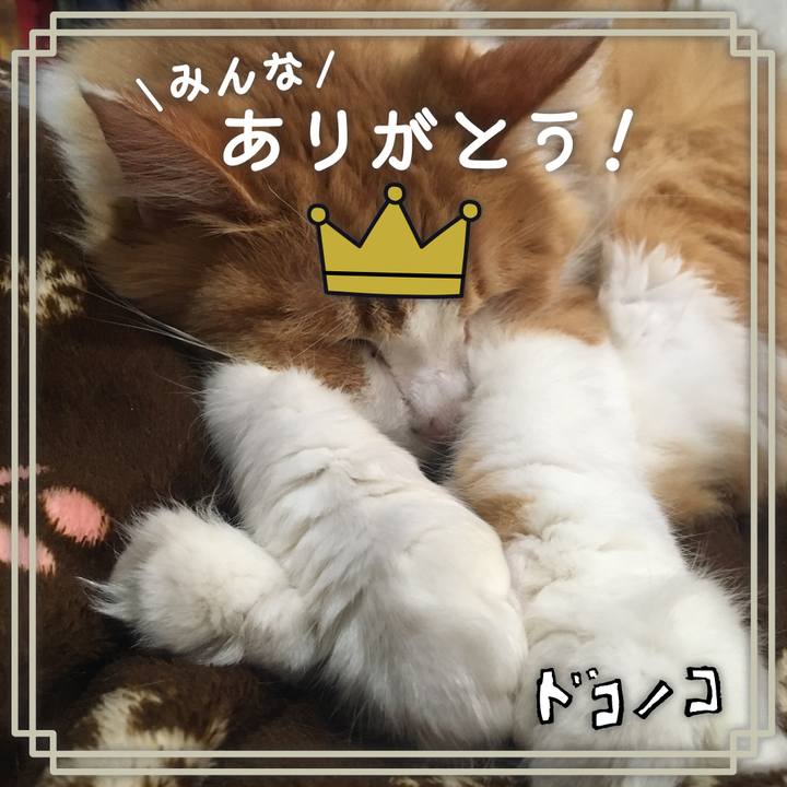 E86fba84 5bfc 4d7c a8ae fff5130a1e45 1623028565049