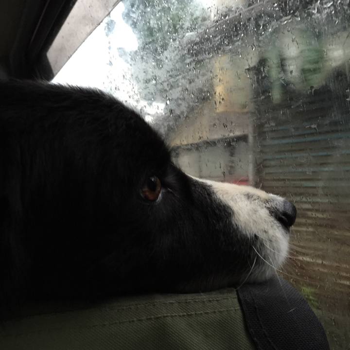 E86fc504 f026 48e3 bc7e a5b5b13be3cc 1527286265956